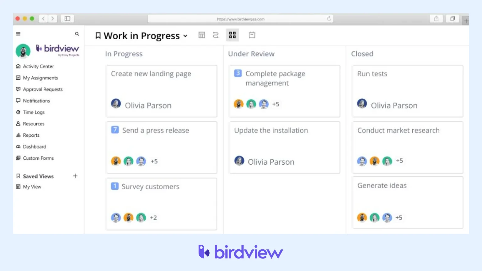 Birdview PSA Software
